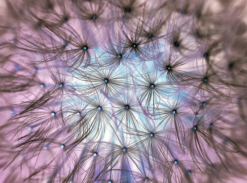 Awakening in The Age of Mega Change - 5 Benefits of Being Alive Now